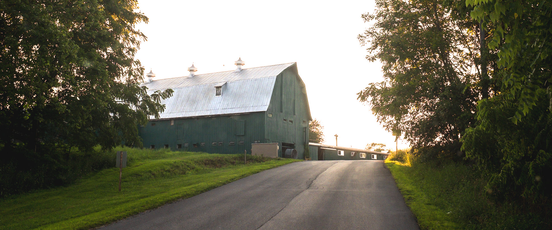 Auction barn along the road