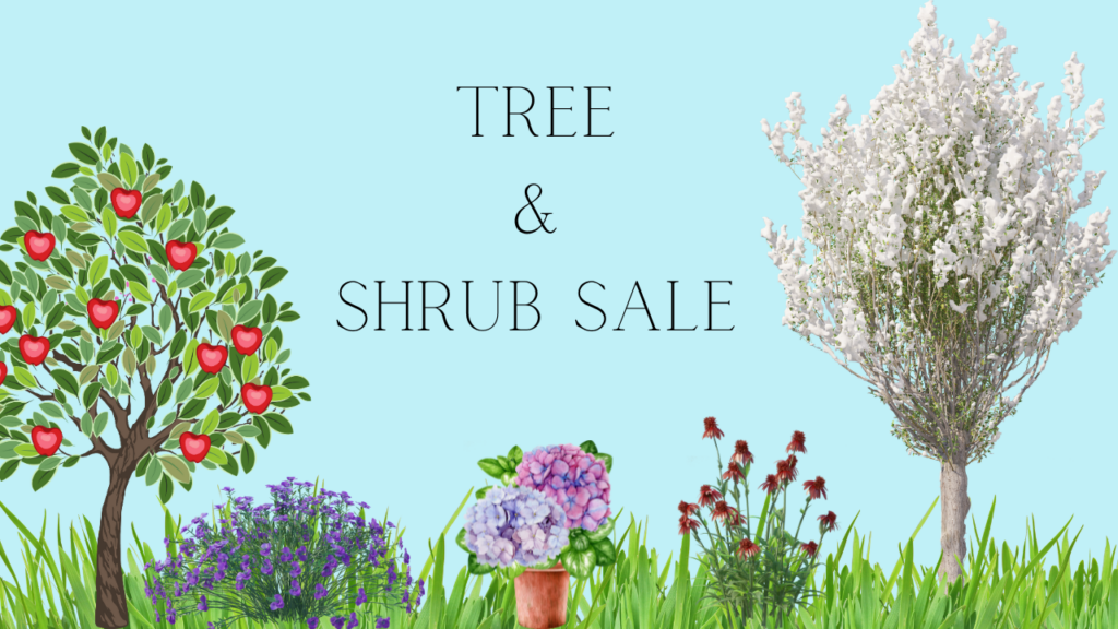 Tree & Shrub Sale