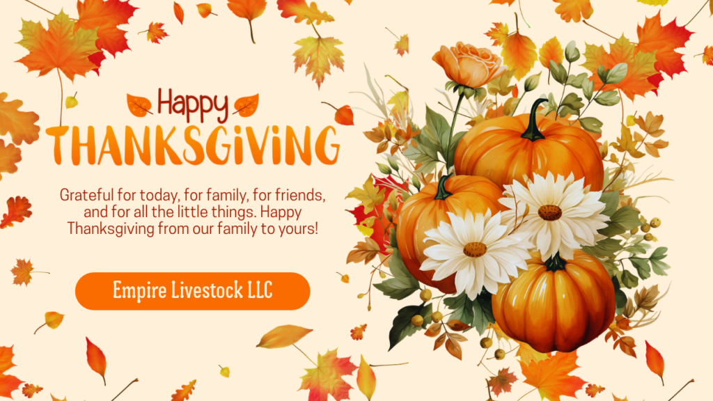 Closed for Thanksgiving
